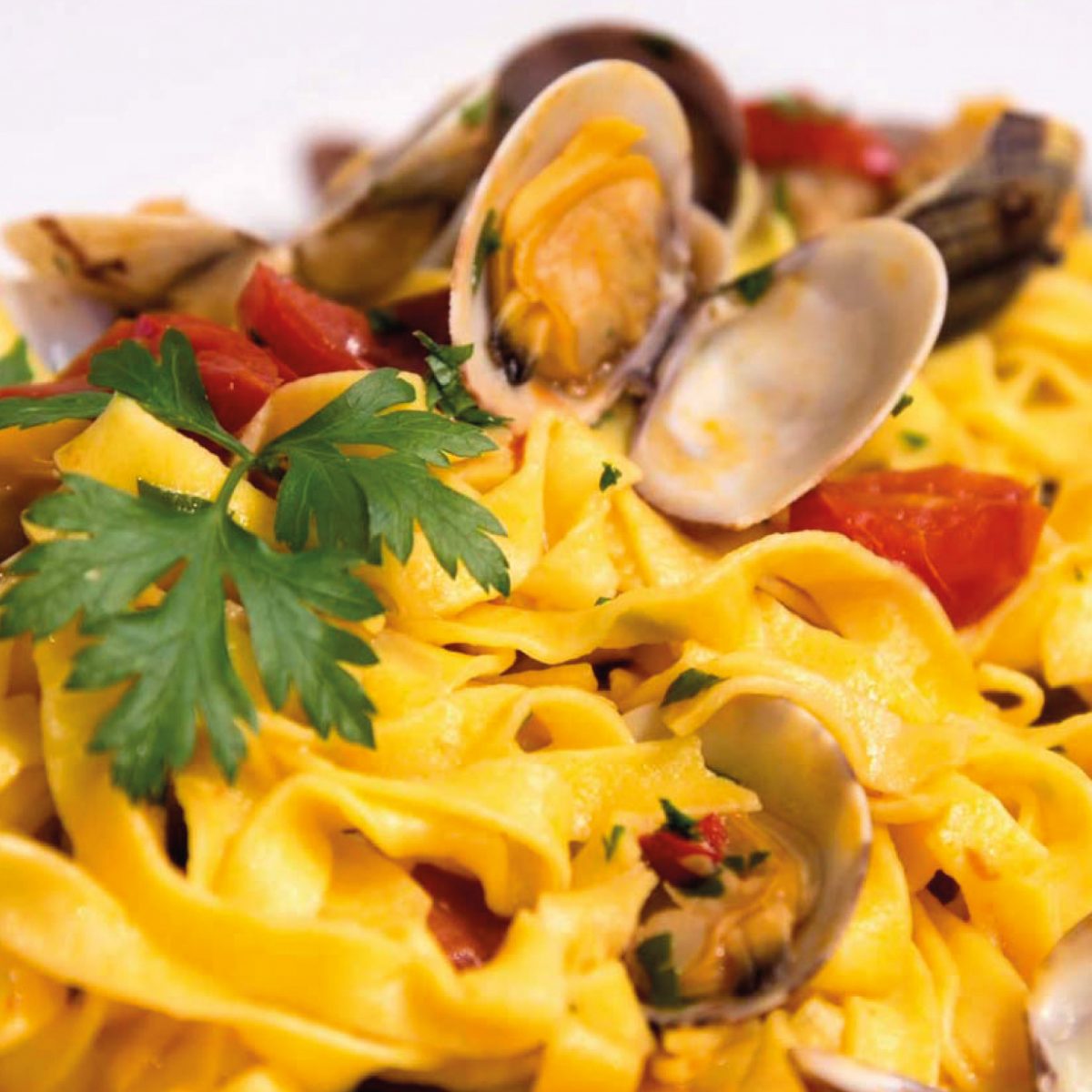 cucina cucina