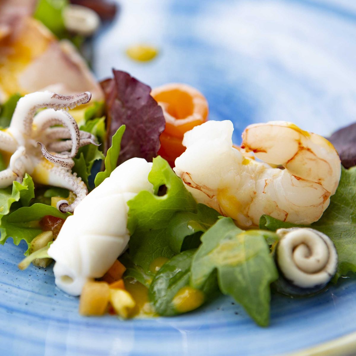 trattoria-damiani-e-rossi-ricetta