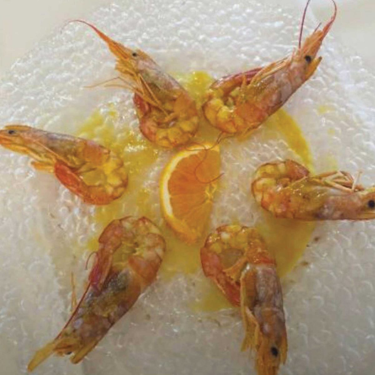 da-cesare-piatto