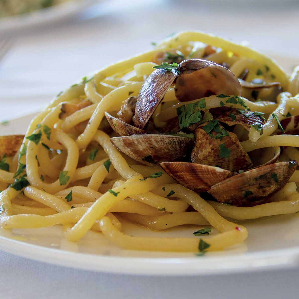 vongole vongole