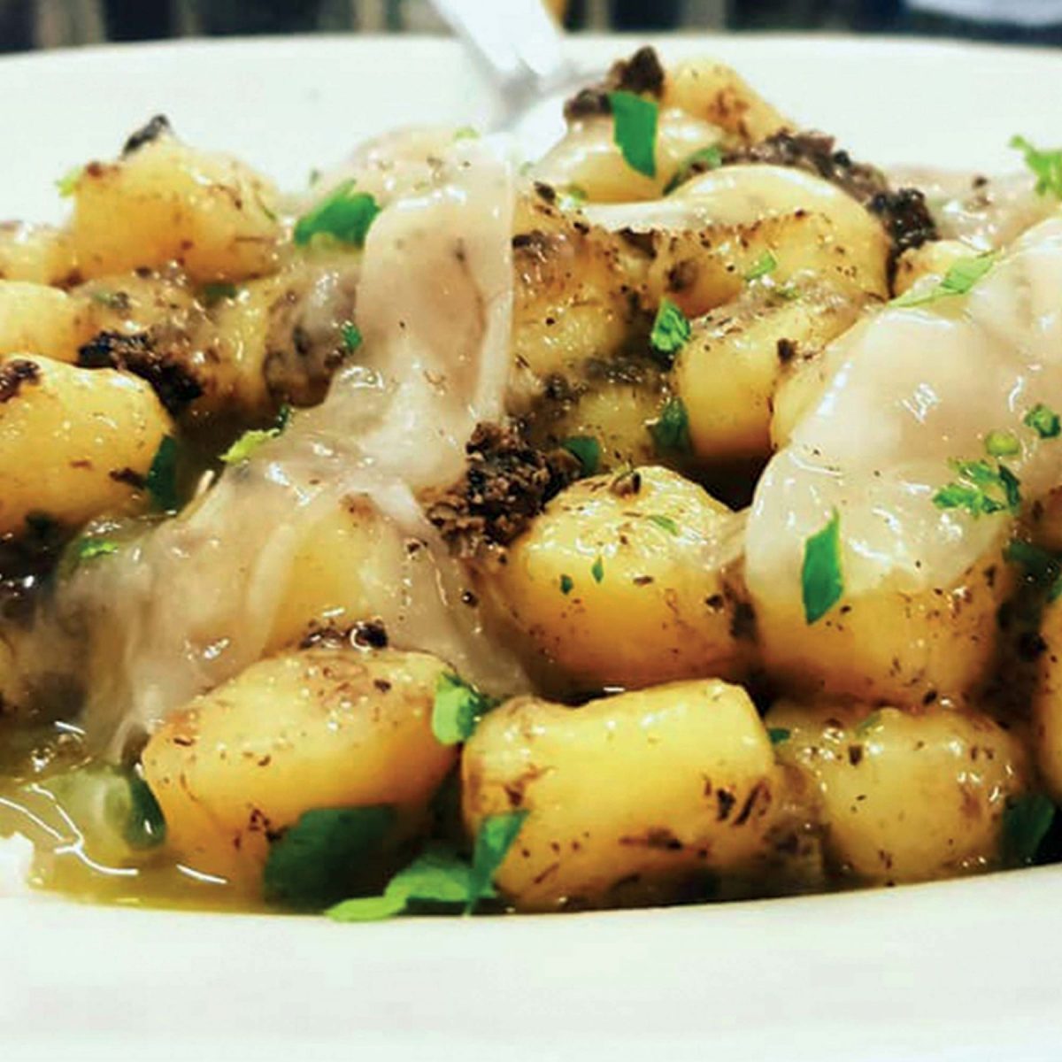 gnocchi gnocchi